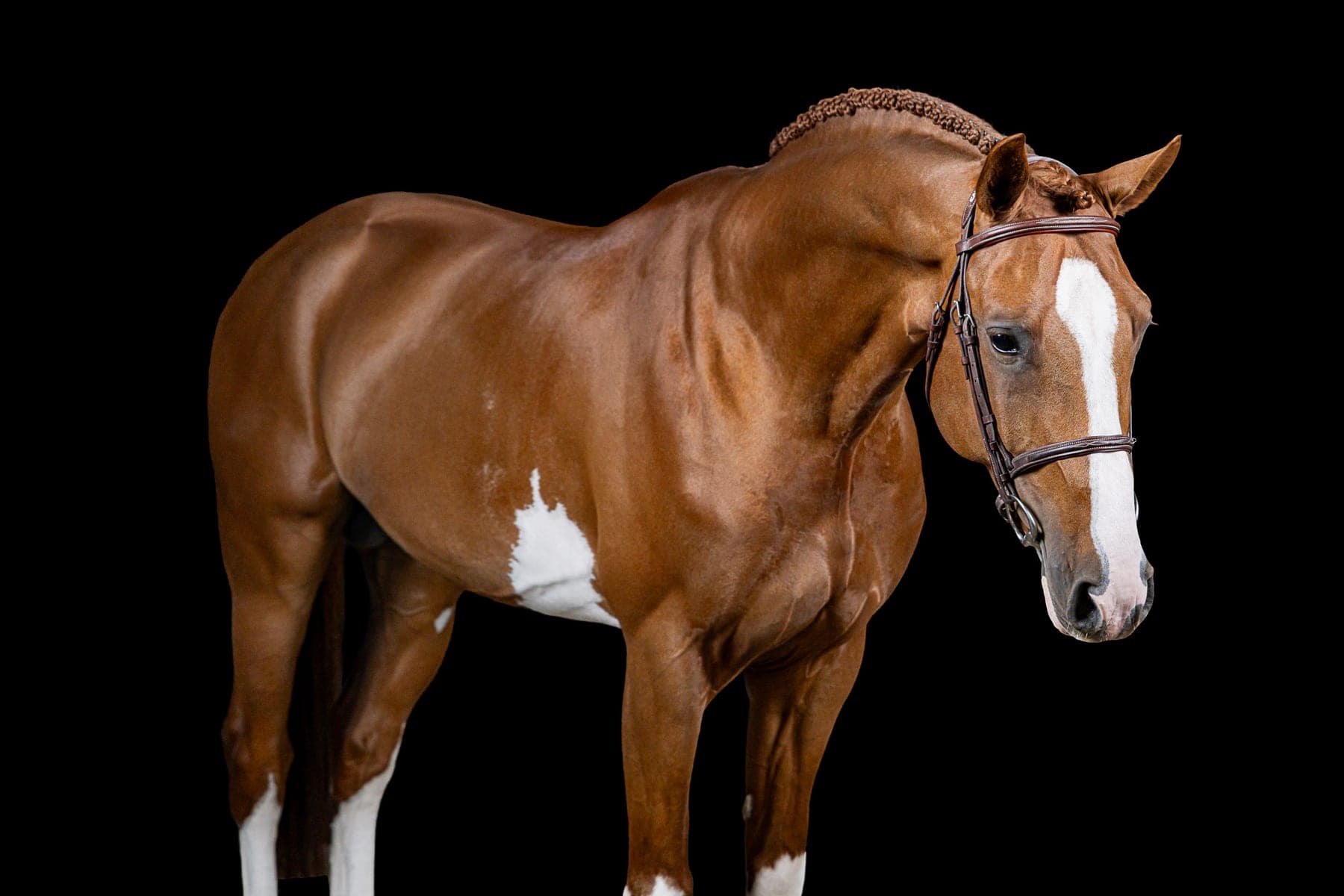 Amaretto Destiny's BTB – All Star × Heartbreaker