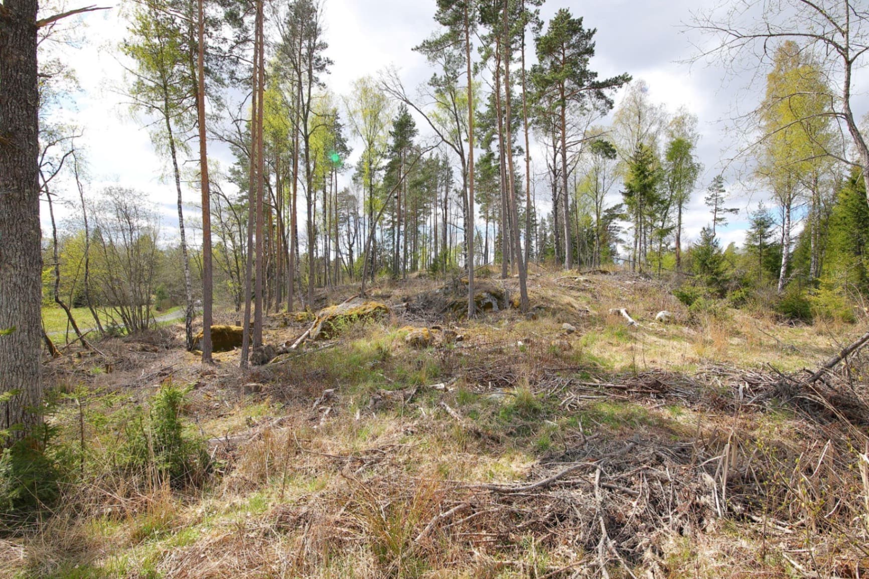 Blivande hästgård | KROKKÄRRET 1:1, ÖRSUNDSBRO, mellan Uppsala och Enköping - Miniatyrbild 8 av 12