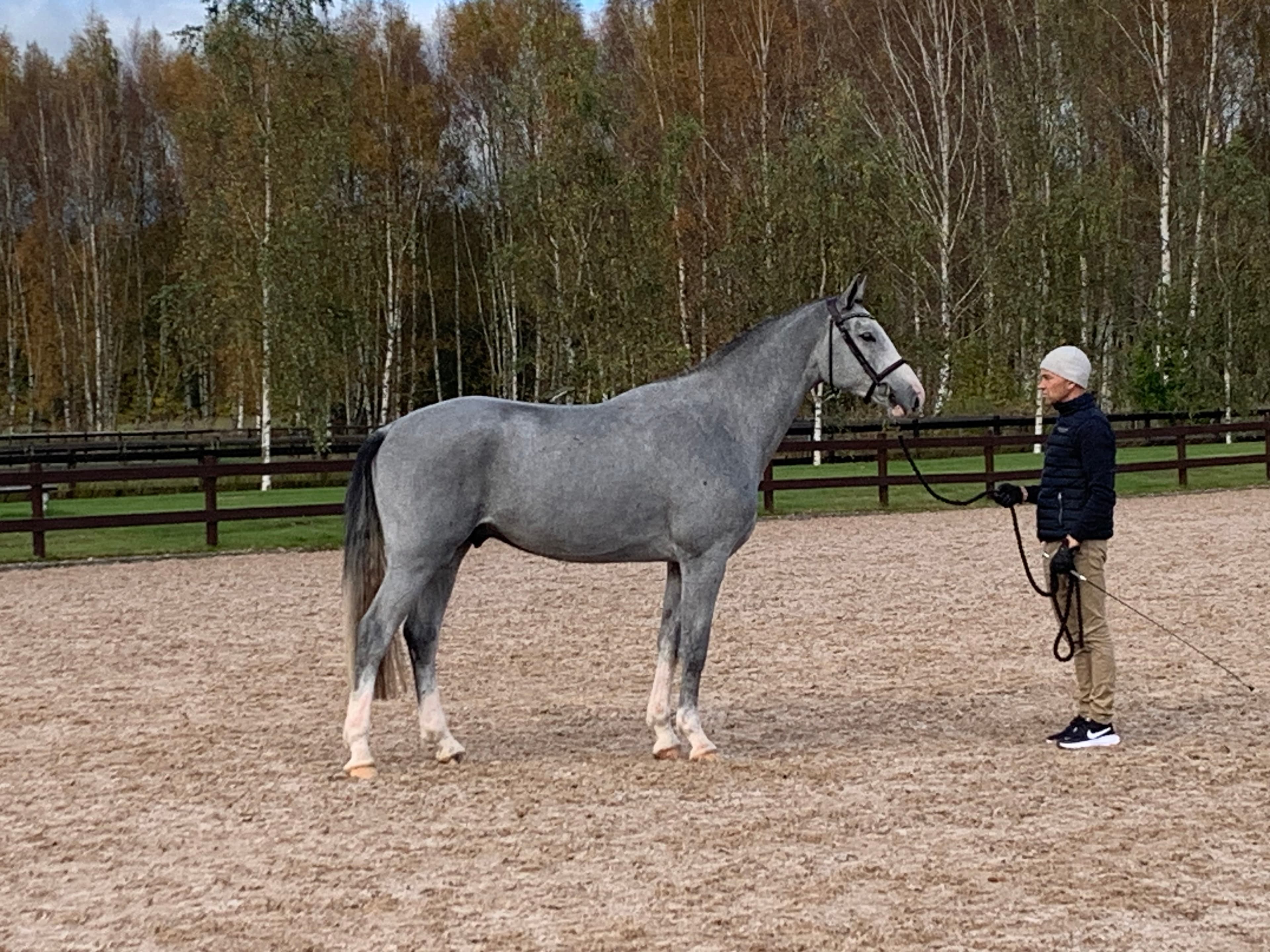 Framtida tävlingshäst