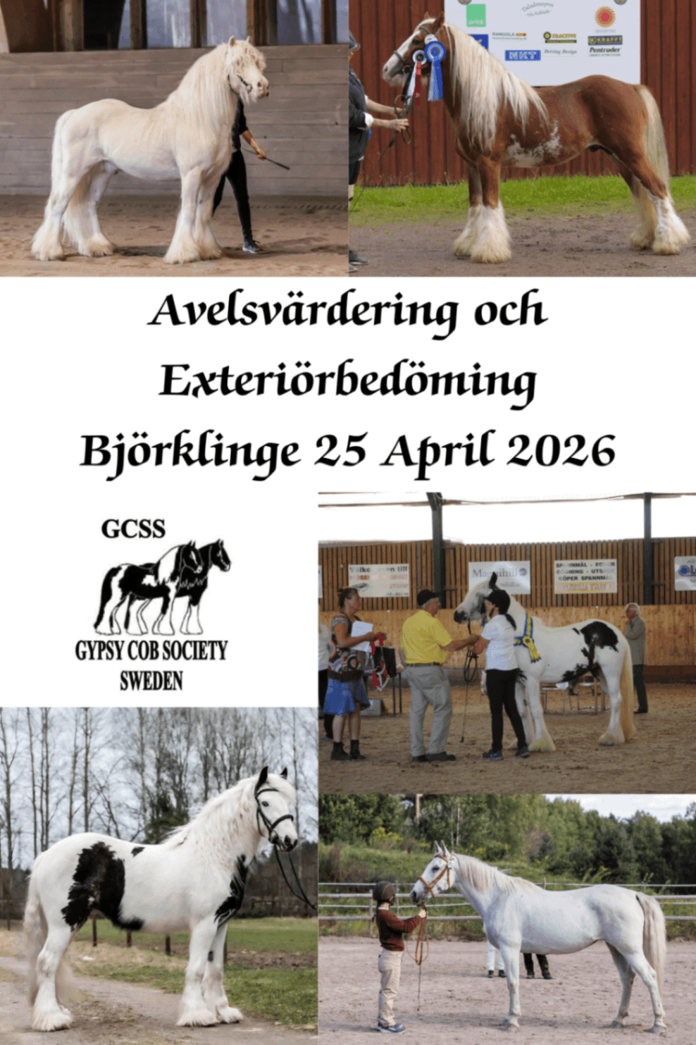 Avelsvärdering och Exteriörbedömning 25 april 2026 - Björklinge