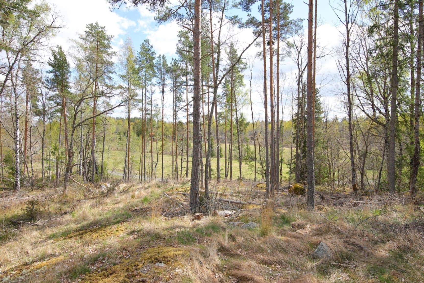 Blivande hästgård | KROKKÄRRET 1:1, ÖRSUNDSBRO, mellan Uppsala och Enköping - Miniatyrbild 7 av 12