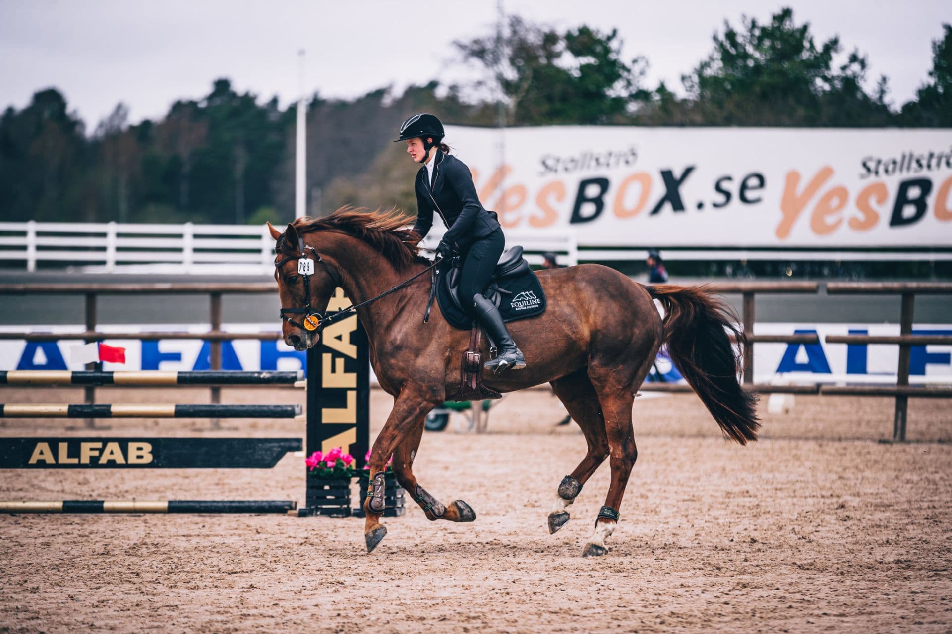 Fantastiskt hoppsto med kapacitet för mer