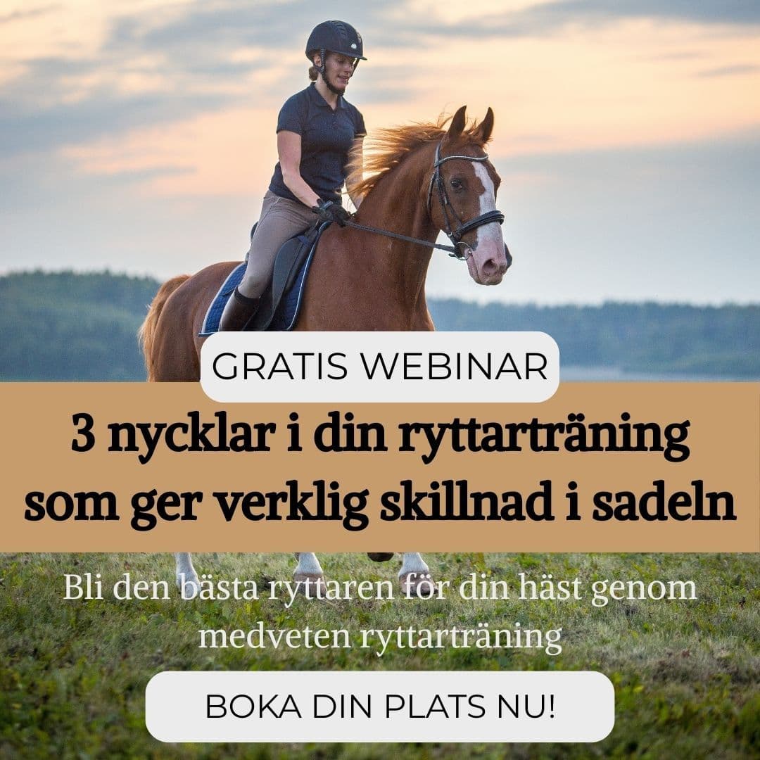 GRATIS WEBINAR: 3 nycklar i din ryttarträning som ger verklig skillnad i sadeln