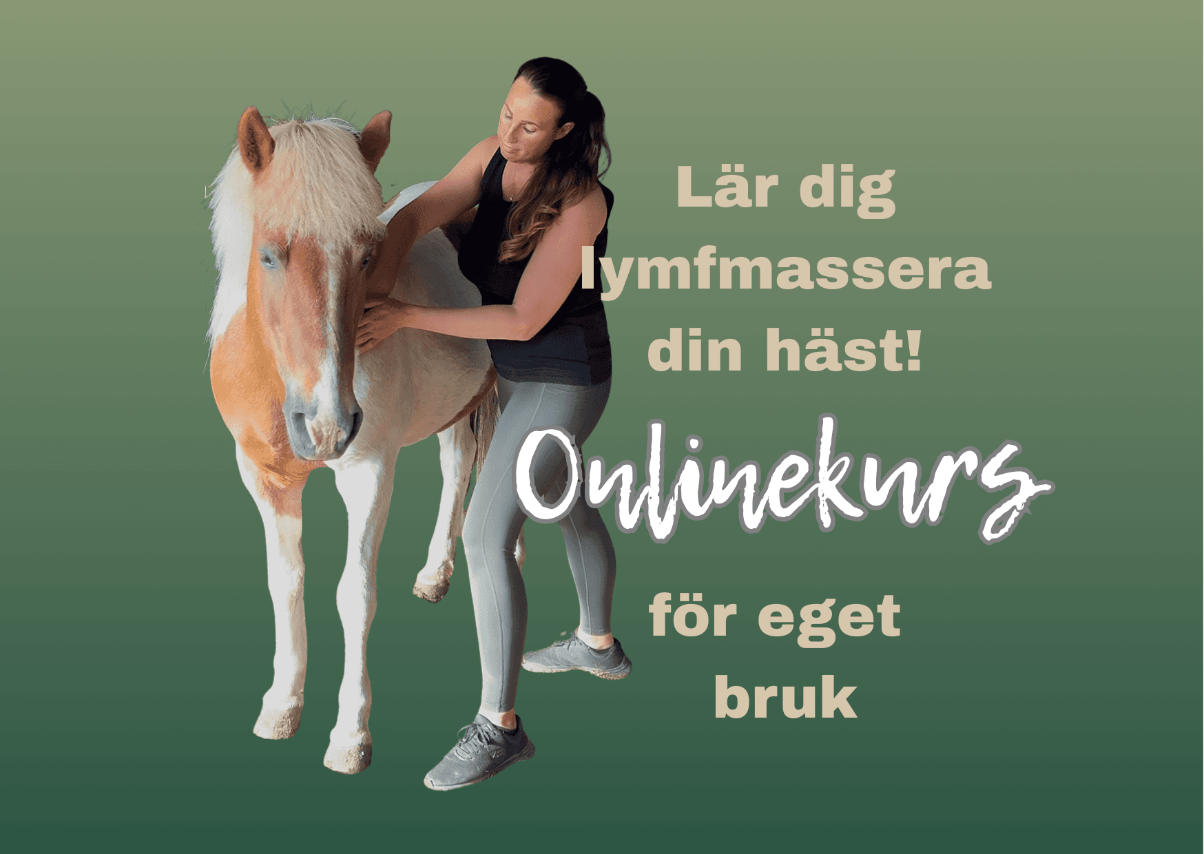 Lär dig lymfmassera din häst!