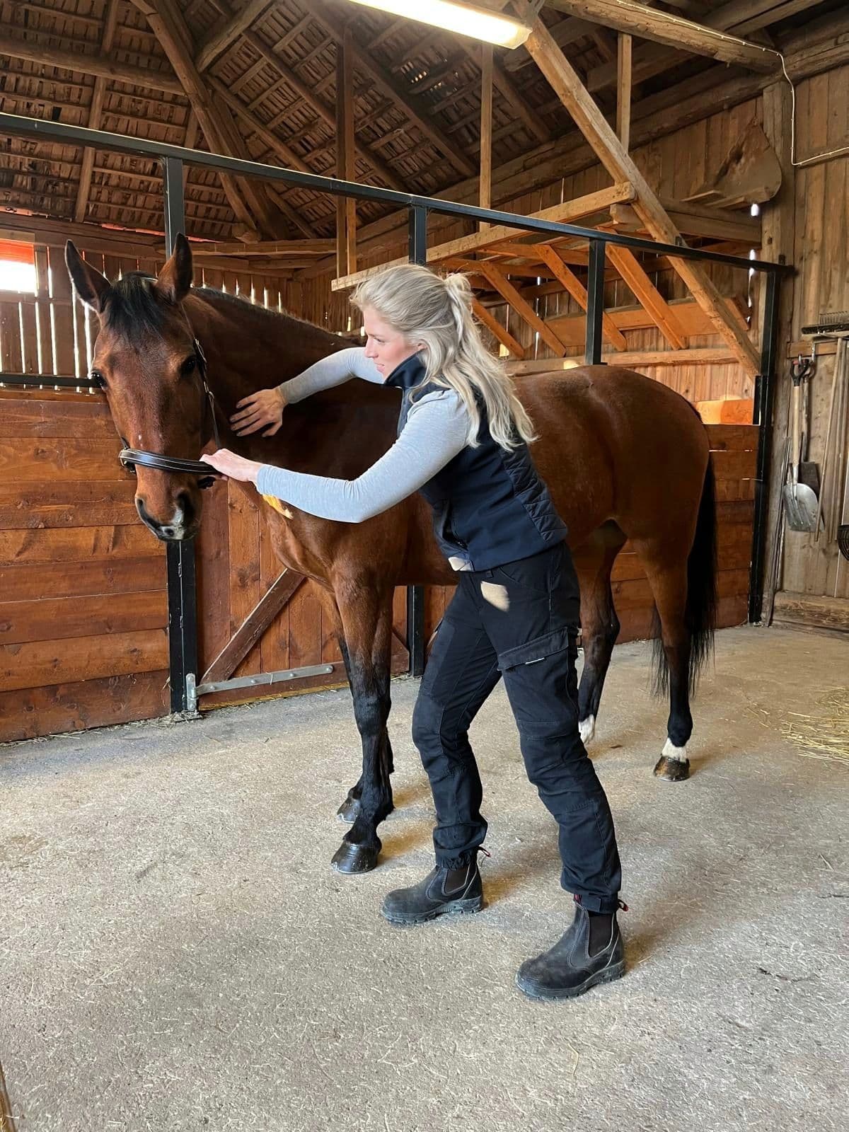 Equiterapibehandling