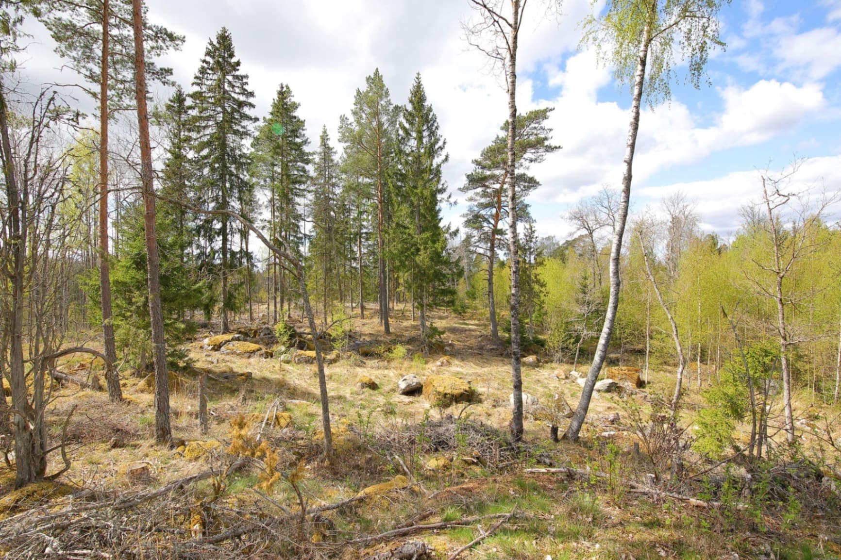 Blivande hästgård | KROKKÄRRET 1:1, ÖRSUNDSBRO, mellan Uppsala och Enköping - Miniatyrbild 9 av 12