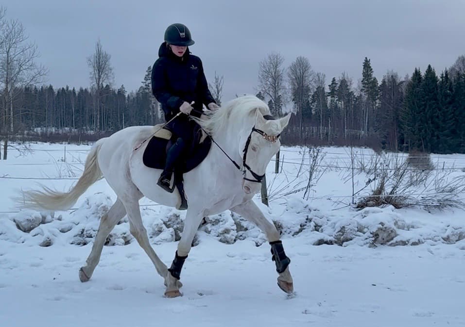 Häftig blickfångare