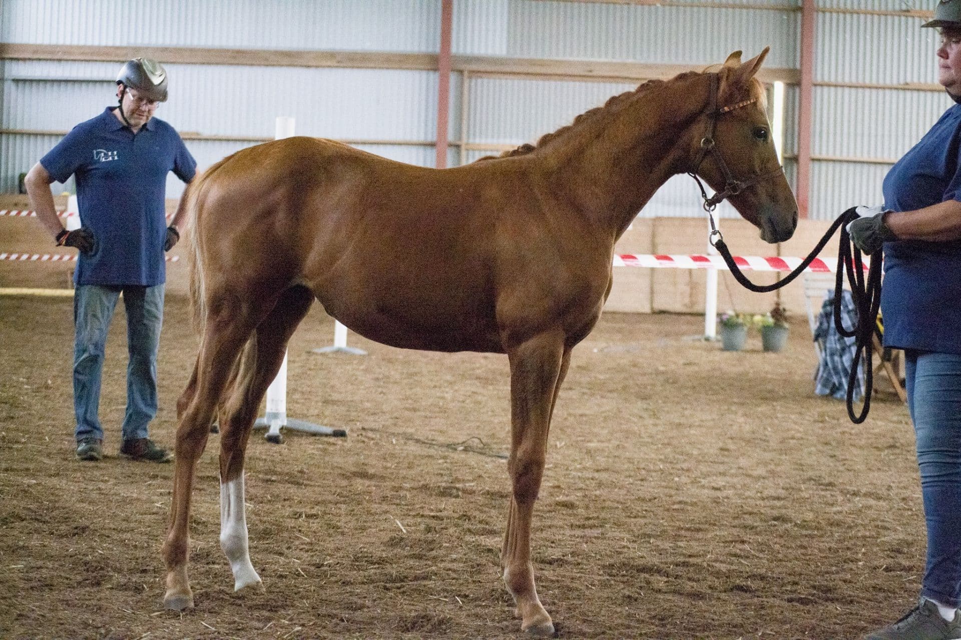 Liten med naggande god