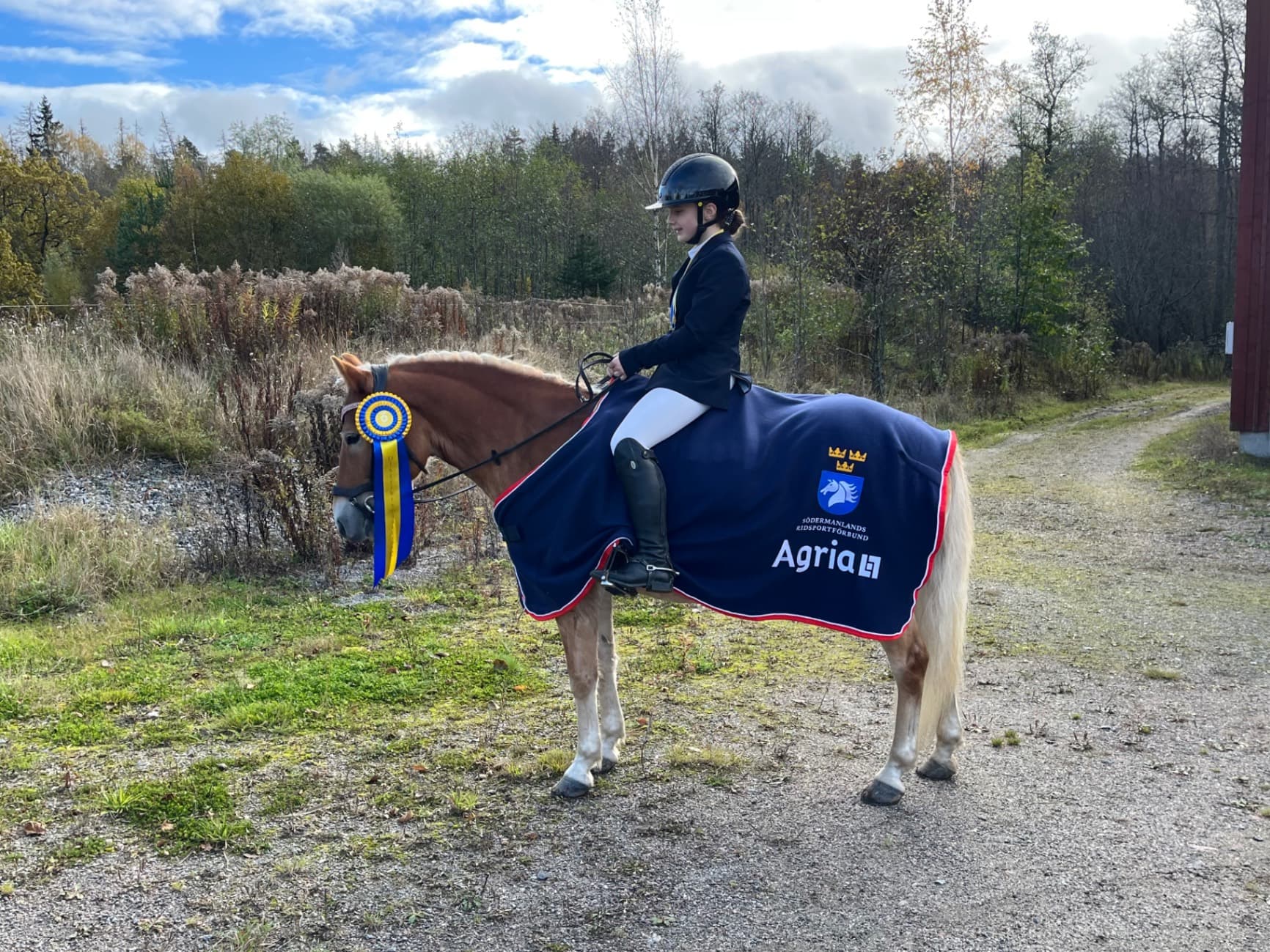 Blickfångare till tävlingsryttare i dressyr