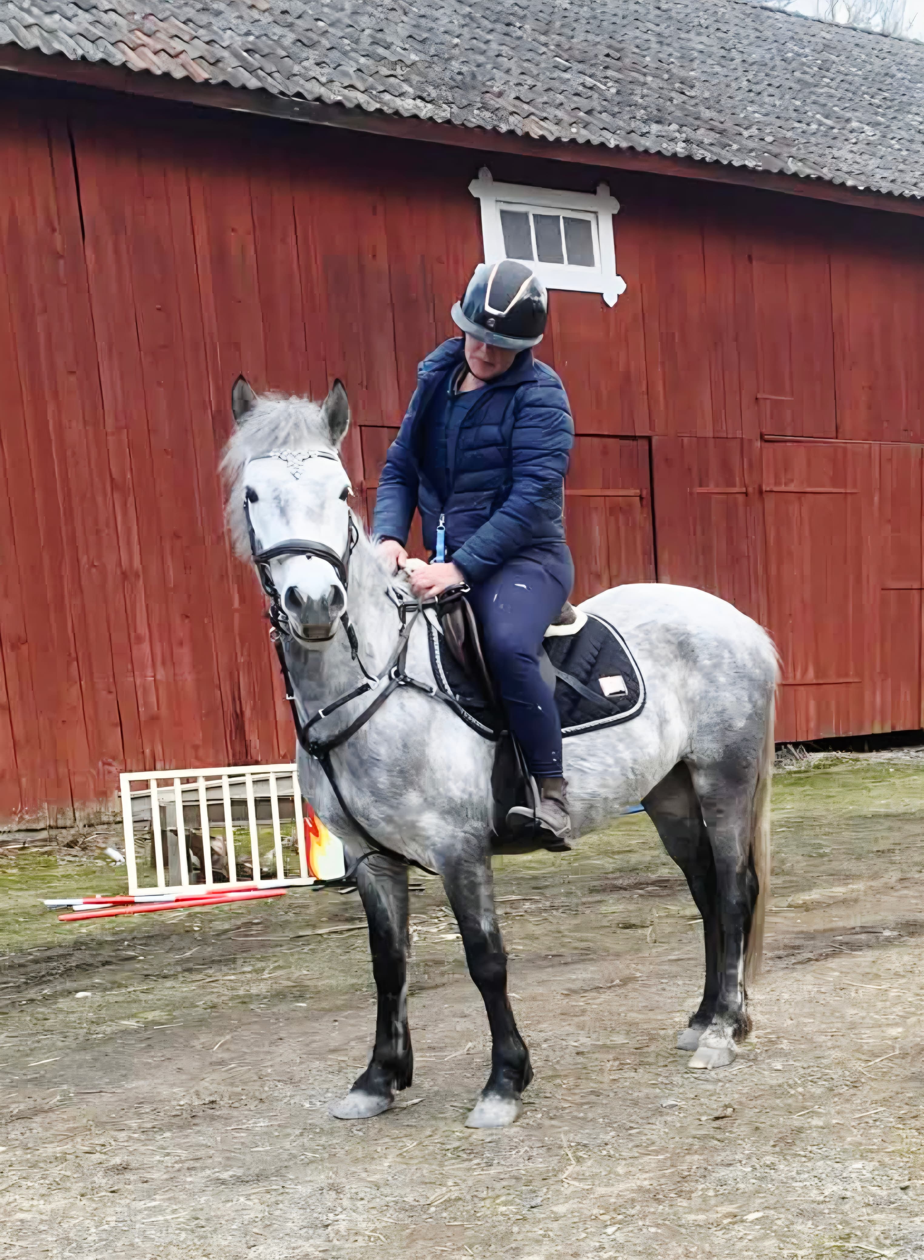 Bild 10