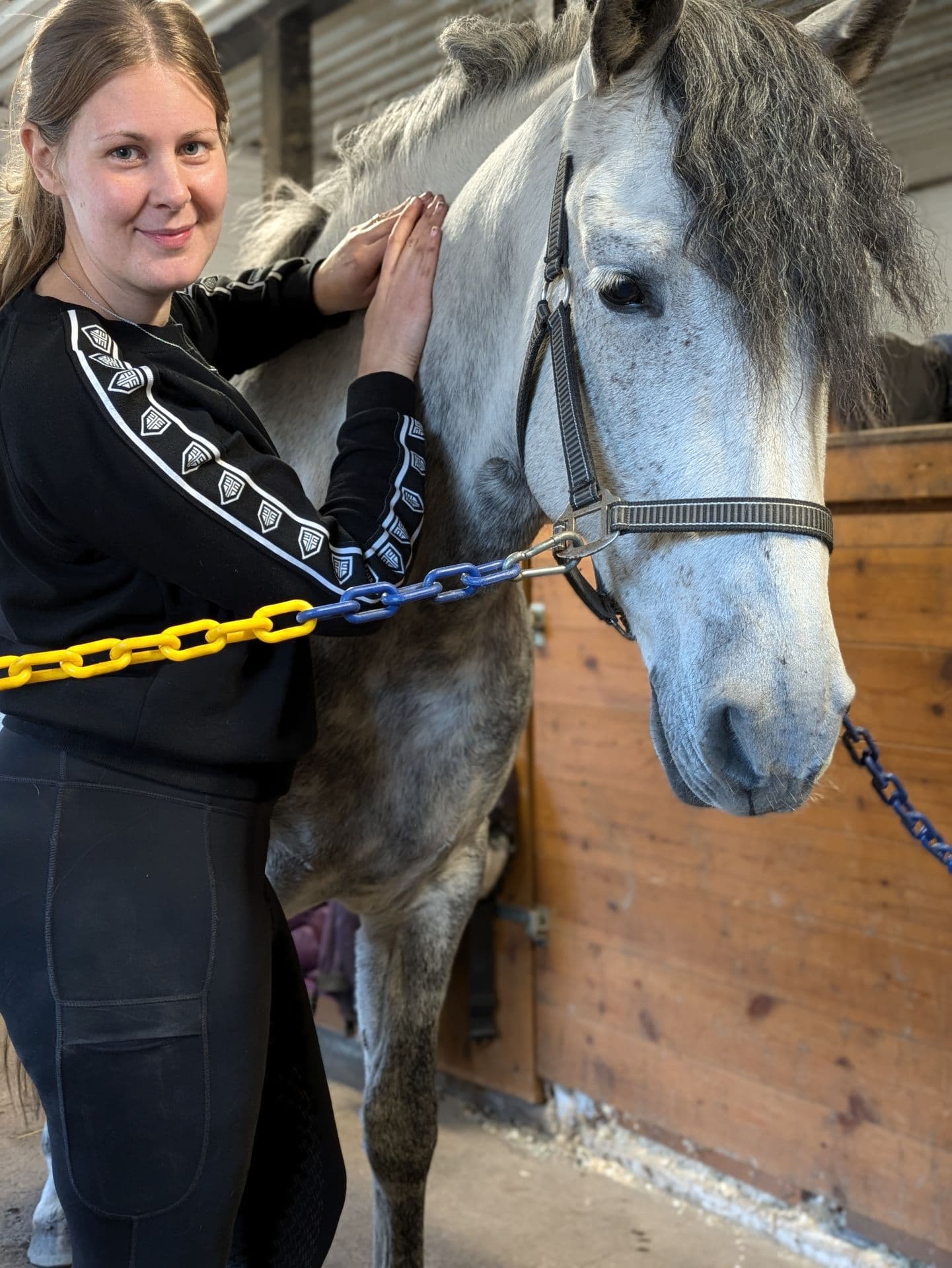 Lymfmassage för häst och hästägare