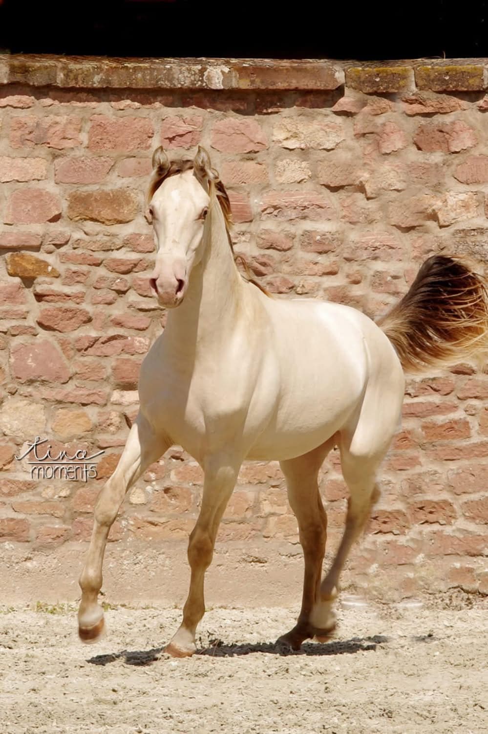 KB Cloud Number Nine - Annan