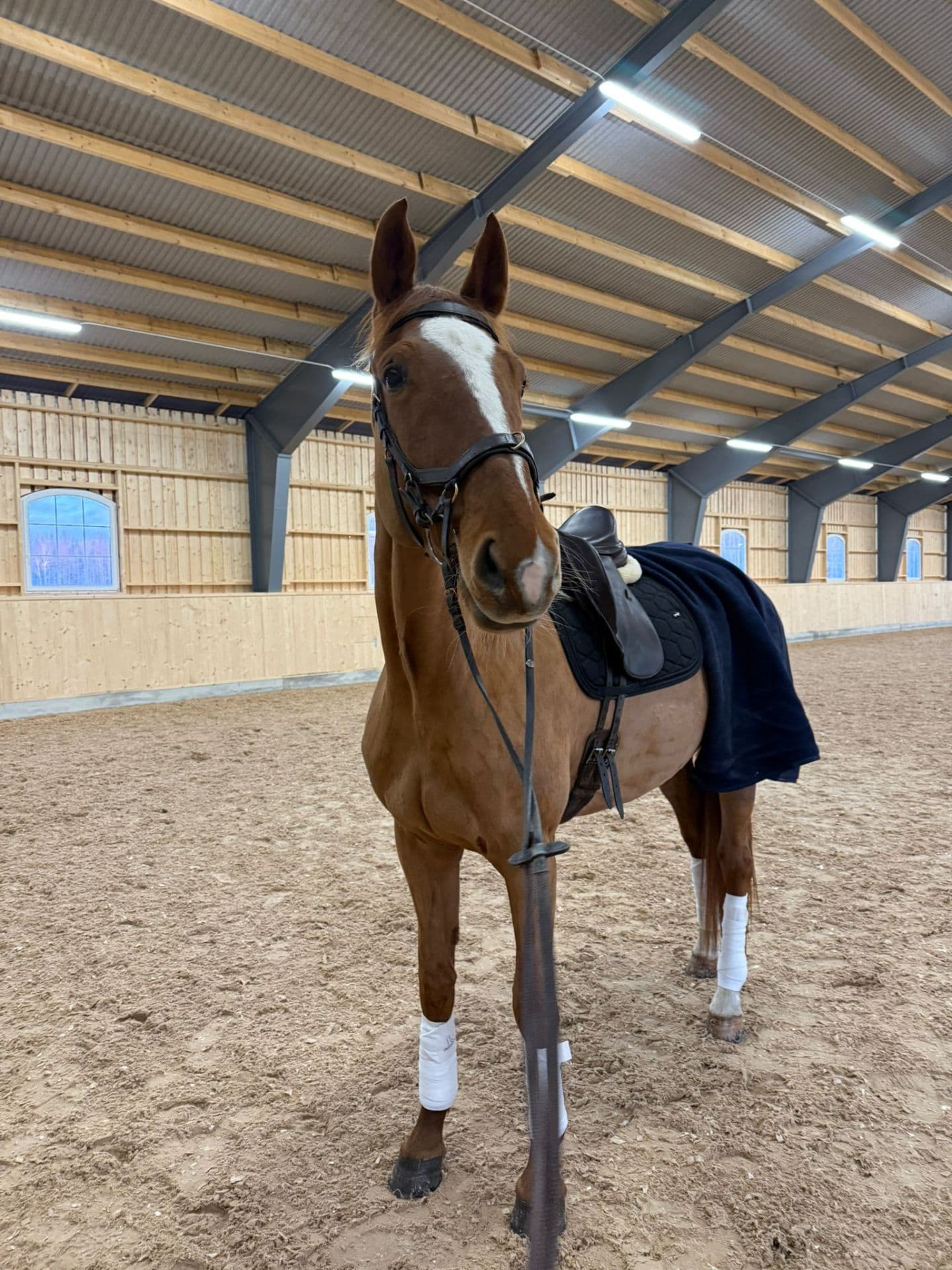 Stor tjej med potential