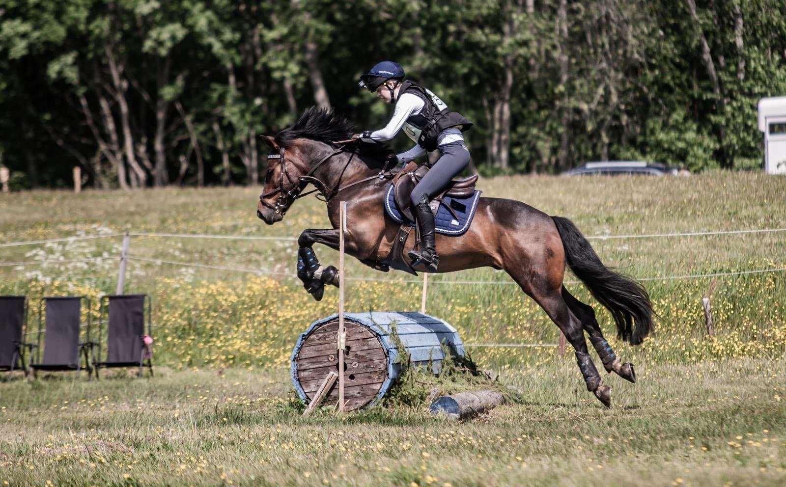 Meriterad Fälttävlansponny