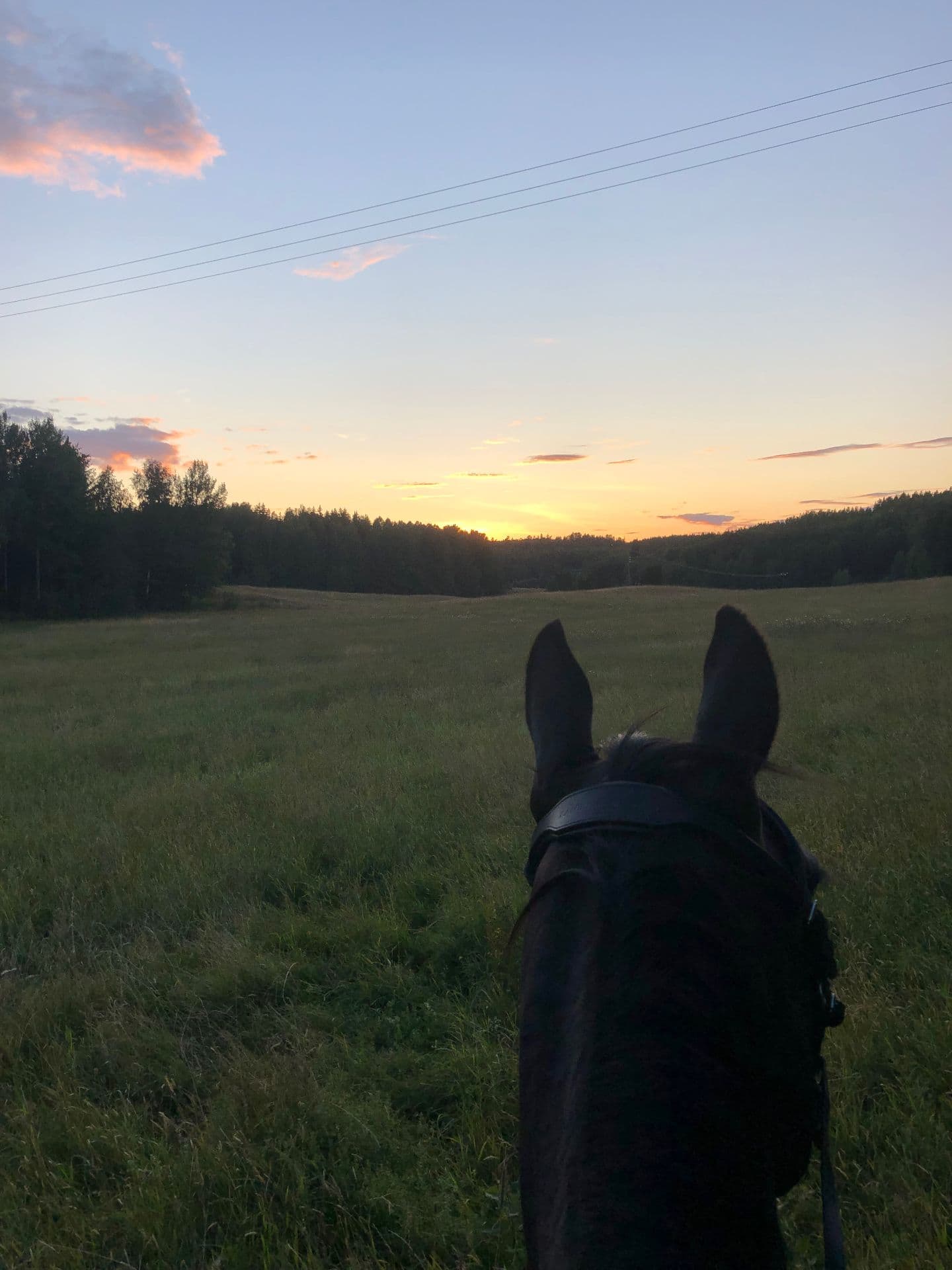 Stallplats för inackordering, Norrköping-Åby